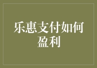 乐惠支付：多元化盈利模式下的金融创新实践