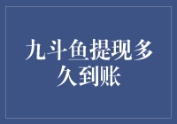 九斗鱼提现多久到账？深度解析提现到账时间背后的真相