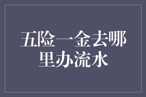 五险一金去哪里办流水