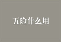 五险一金：构建现代社会保障网络的坚实基础