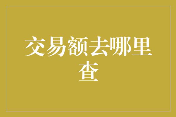 交易额去哪里查