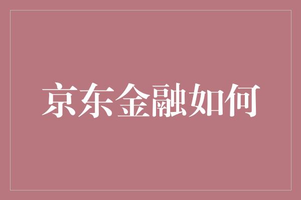 京东金融如何