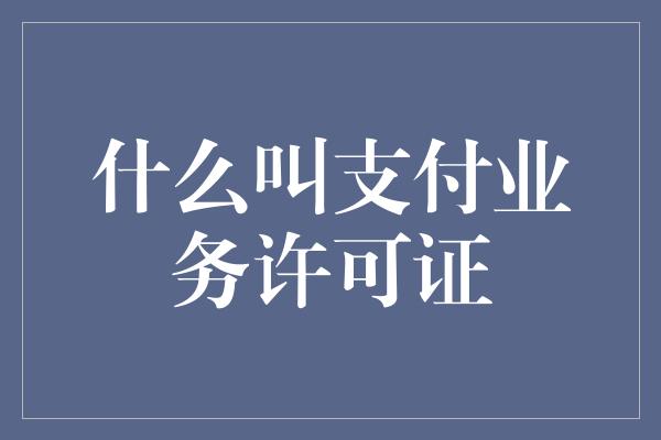 什么叫支付业务许可证