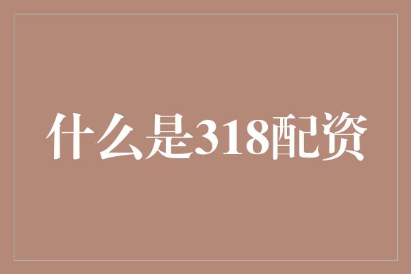 什么是318配资