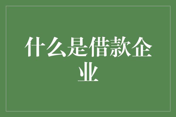 什么是借款企业