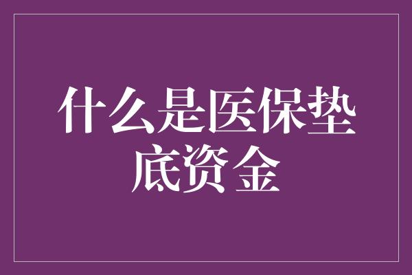 什么是医保垫底资金