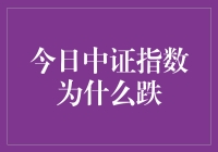 今天的中证指数，咋就跌了呢？