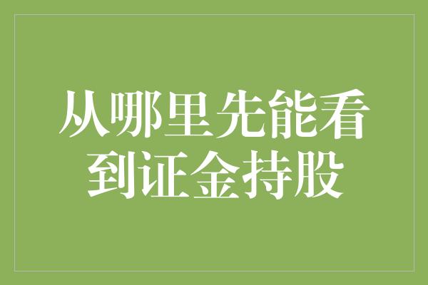 从哪里先能看到证金持股