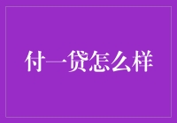 付一贷：金融界的先享后付潮流引领者