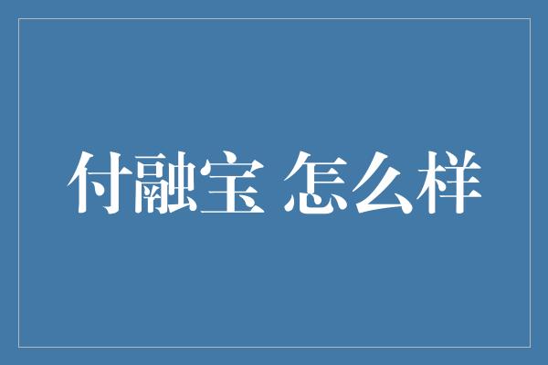 付融宝 怎么样