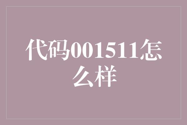 代码001511怎么样