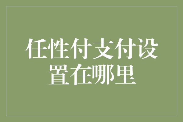 任性付支付设置在哪里