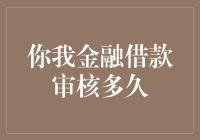 你我金融借款审批：是天选之子还是等待的勇士？