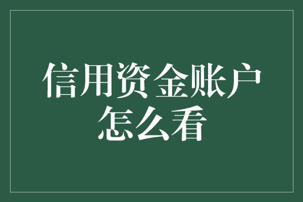 信用资金账户怎么看