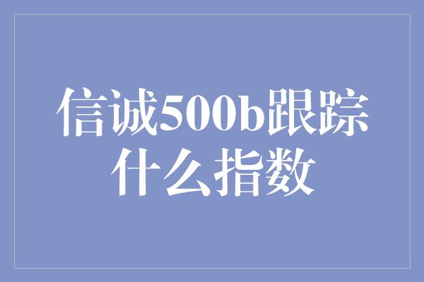 信诚500b跟踪什么指数