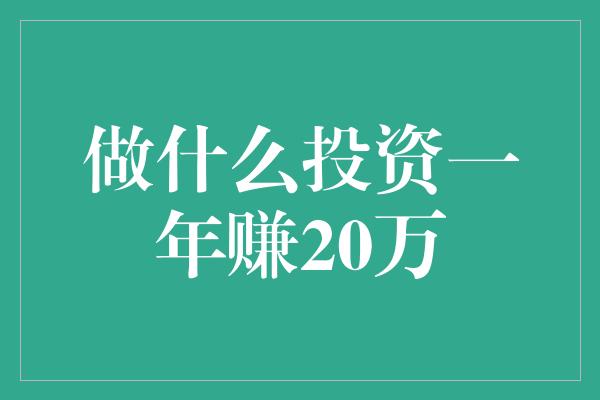 做什么投资一年赚20万