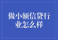 小额信贷行业的兴起与挑战：机遇与成长的双重奏