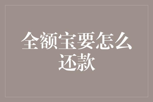 全额宝要怎么还款