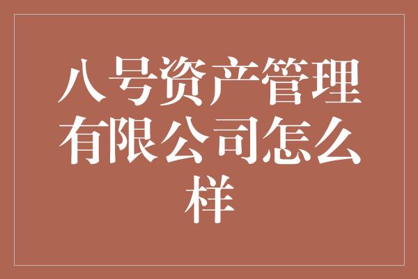 八号资产管理有限公司怎么样