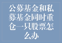 如果公募基金和私募基金同时爱上了一只股票：一场资本界的罗密欧与朱丽叶