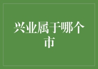 兴业银行的神秘身份：究竟是哪里的宠儿？