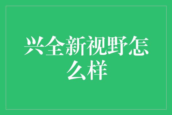 兴全新视野怎么样