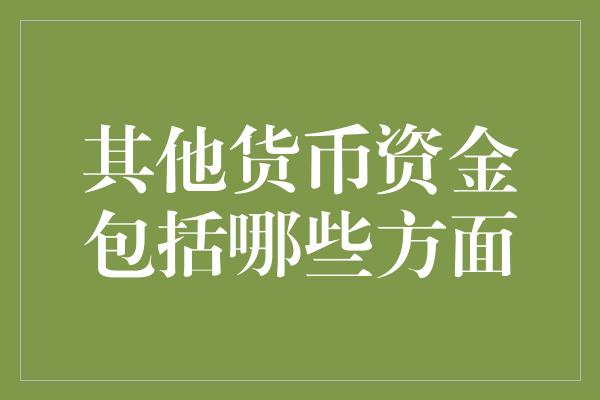 其他货币资金包括哪些方面