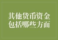 其他货币资金涵盖范围及应用详解