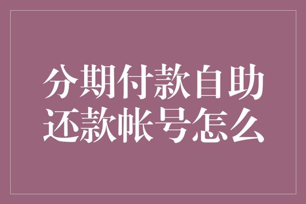 分期付款自助还款帐号怎么