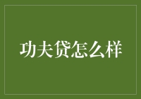 功夫贷：现代社会下的金融创新与挑战