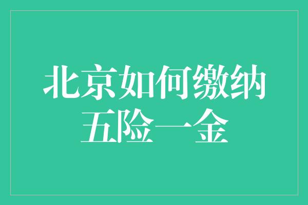 北京如何缴纳五险一金