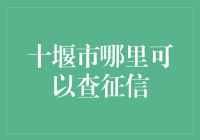 十堰市征信查哪家强？带你一探究竟！