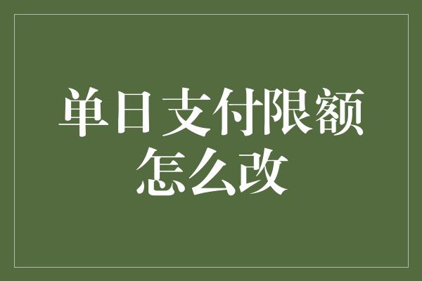 单日支付限额怎么改