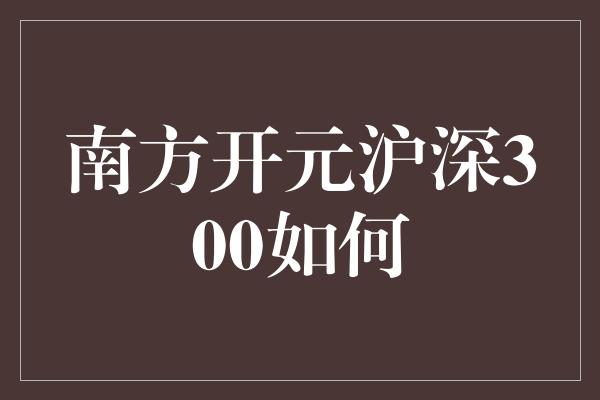 南方开元沪深300如何