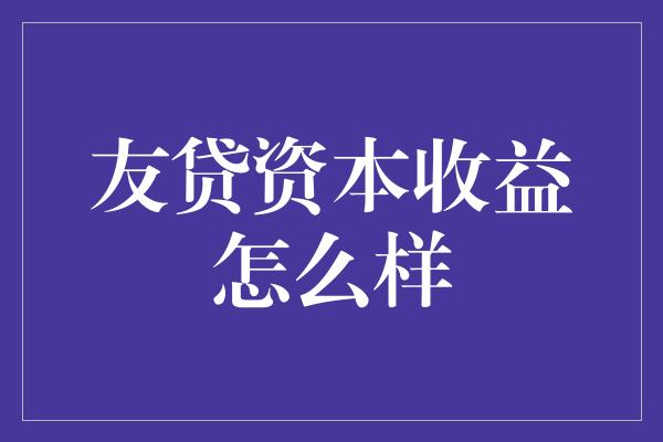 友贷资本收益怎么样