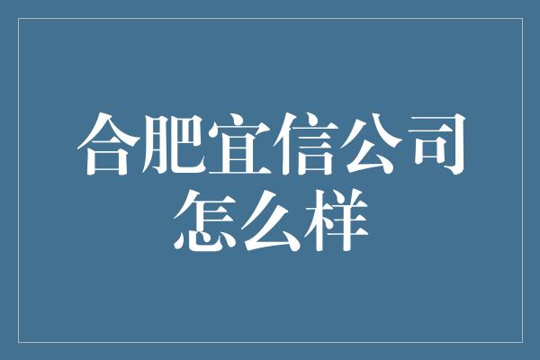 合肥宜信公司怎么样