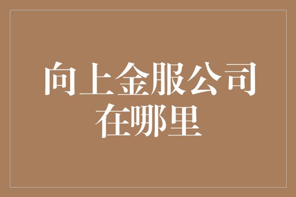 向上金服公司在哪里