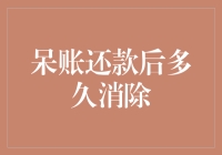 呆账还款后多久消除：深度解析与申请策略