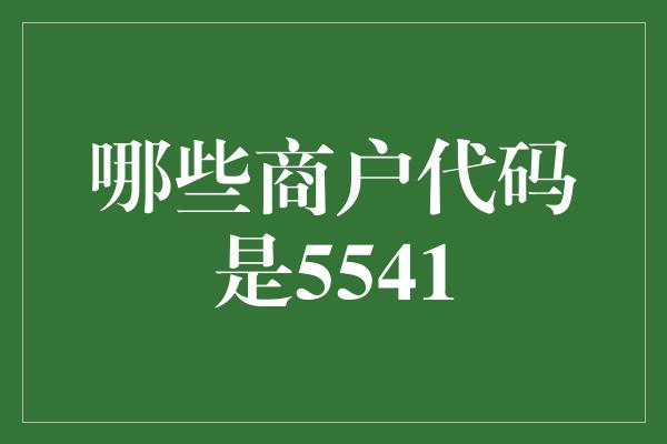 哪些商户代码是5541