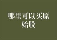 抢滩股市新机遇：哪里能买到原始股？