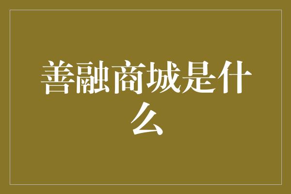 善融商城是什么