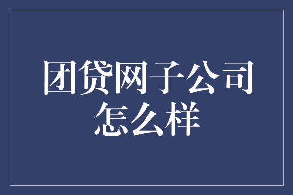 团贷网子公司怎么样