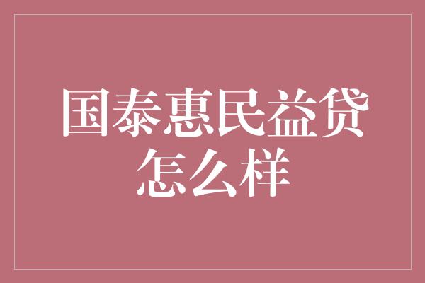 国泰惠民益贷怎么样