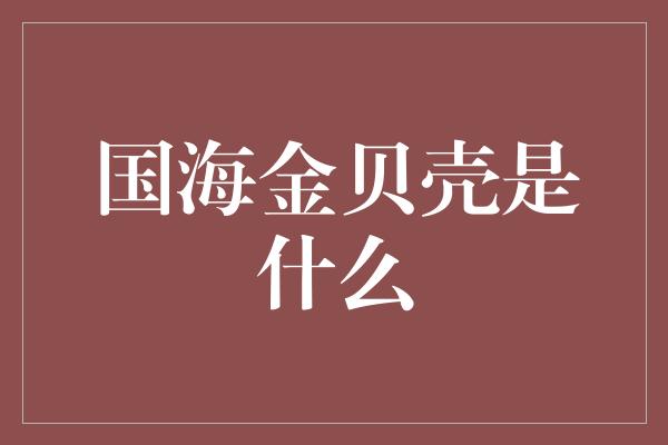 国海金贝壳是什么