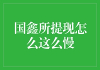 国鑫所提现效率低下引发深度思考：多元化解决方案的可行性探讨