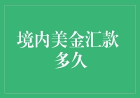 境内美金汇款多久能到账：探究影响因素与优化策略