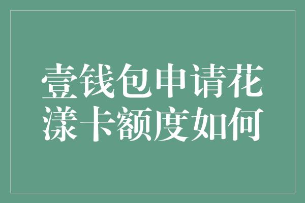 壹钱包申请花漾卡额度如何