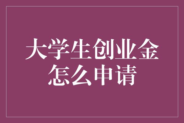 大学生创业金怎么申请