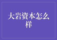 大岩资本：那些年，我们追过的神秘资本巨鳄