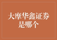 大摩华鑫证券是哪个？原来它是一只行走的股票百科全书！